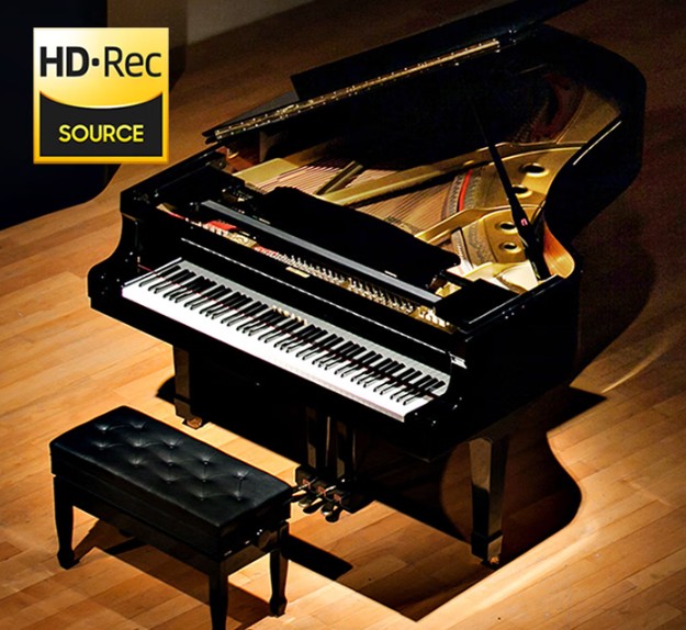 音樂自由新主張，為何鐘情特倫斯手卷鋼琴？