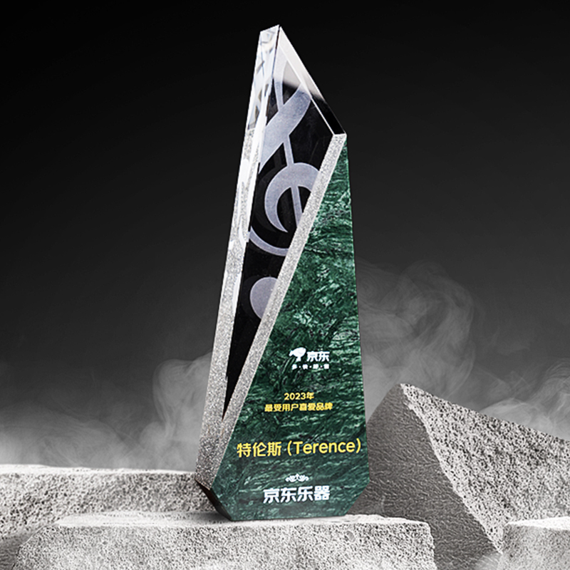 TERENCE 特倫斯榮獲 京東平臺重磅榮譽 持續領跑智能樂器賽道